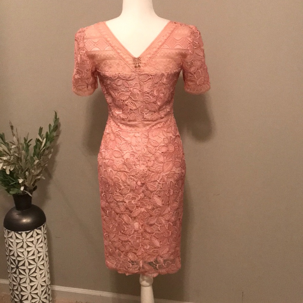 Tadashi Shoji Katelyn Lace Dress - Picture 6 of 7